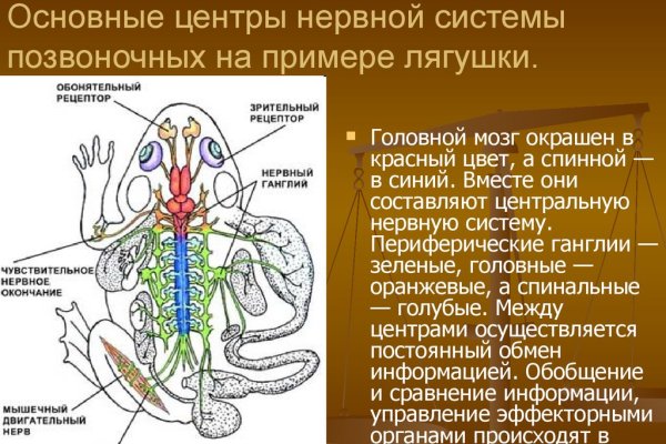 Магазин кракен дарк